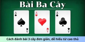 bài 3 cây